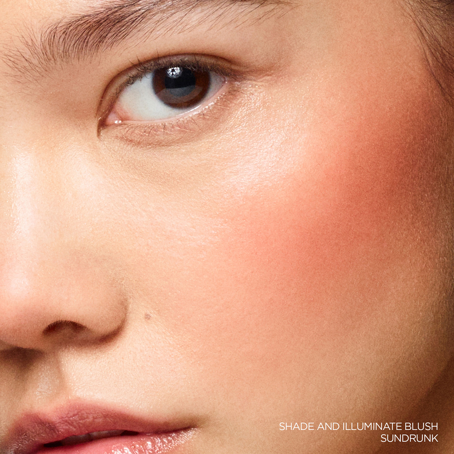 SHADE AND ILLUMINATE BLUSH (DUO DE RUBOR EN POLVO)